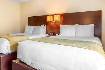 The Gatsby Hotel New York États-Unis