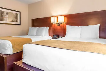The Gatsby Hotel New York