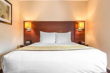 The Gatsby Hotel New York